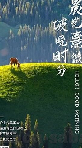 如何显示足球比分-如何实时追踪与显示足球比分，多维度解析与实用指南