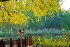 足球比分直播-足球比赛-足球比分直播，实时见证绿茵场上的激情与荣耀